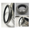 Double Lip Rubber NBR FKM Viton Oil Seal